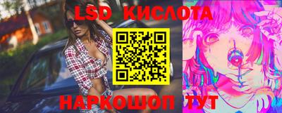 сатива Камышлов