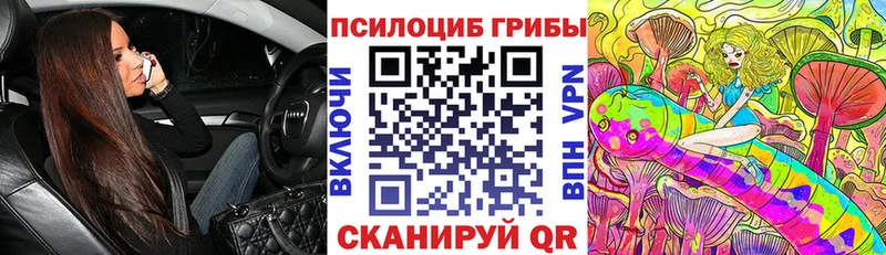 Псилоцибиновые грибы GOLDEN TEACHER Знаменск