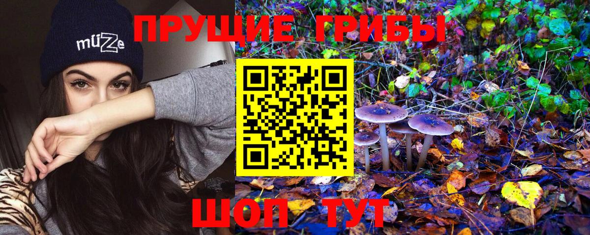 Меф Знаменск