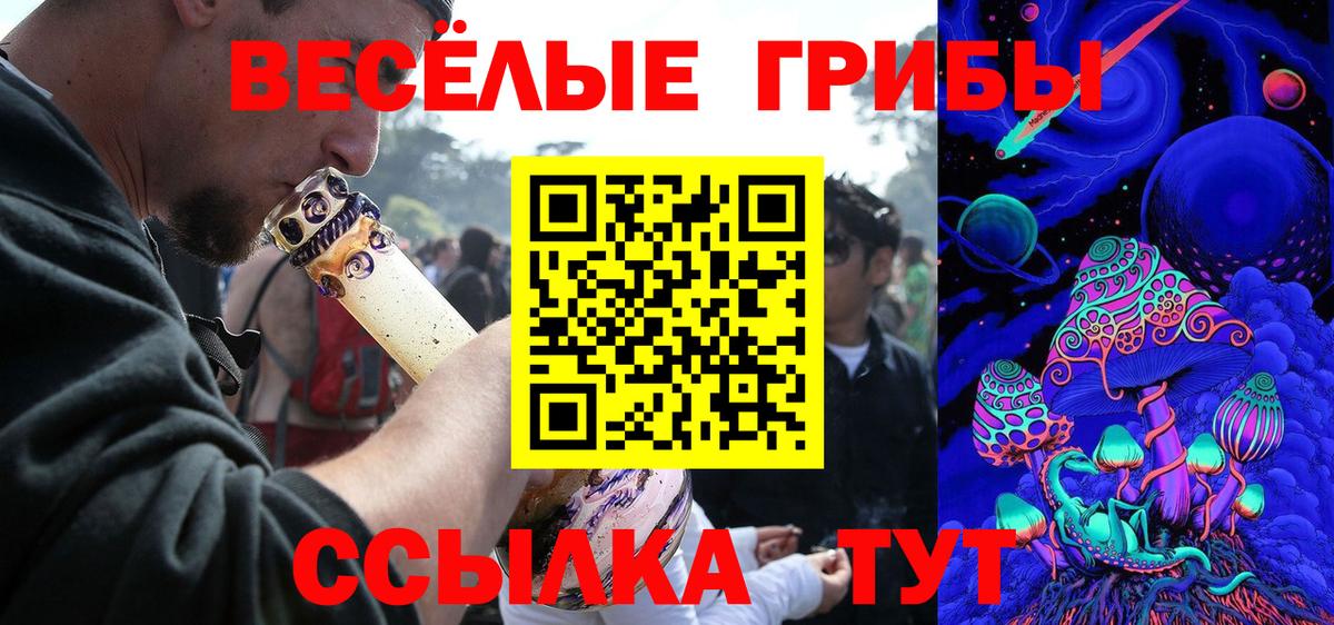 Галлюциногенные грибы ЛСД Знаменск